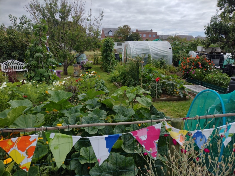 Shepherd Road Allotments